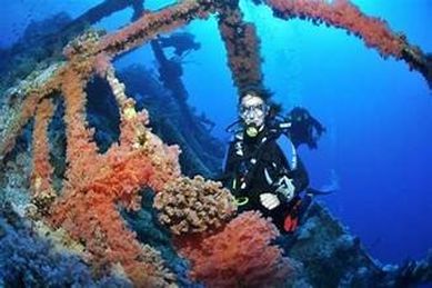 Egypt International Diving